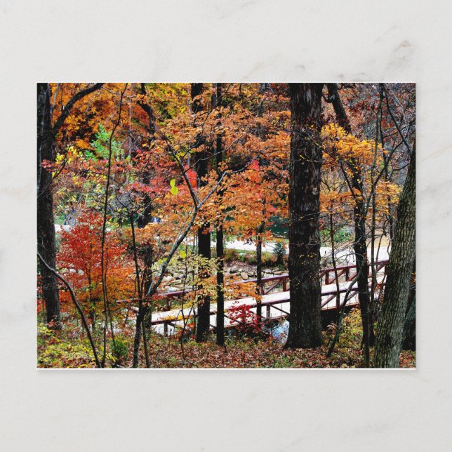 Bridge in Autumn with Fall Tree Leaves / Scenic Postcard (Front)