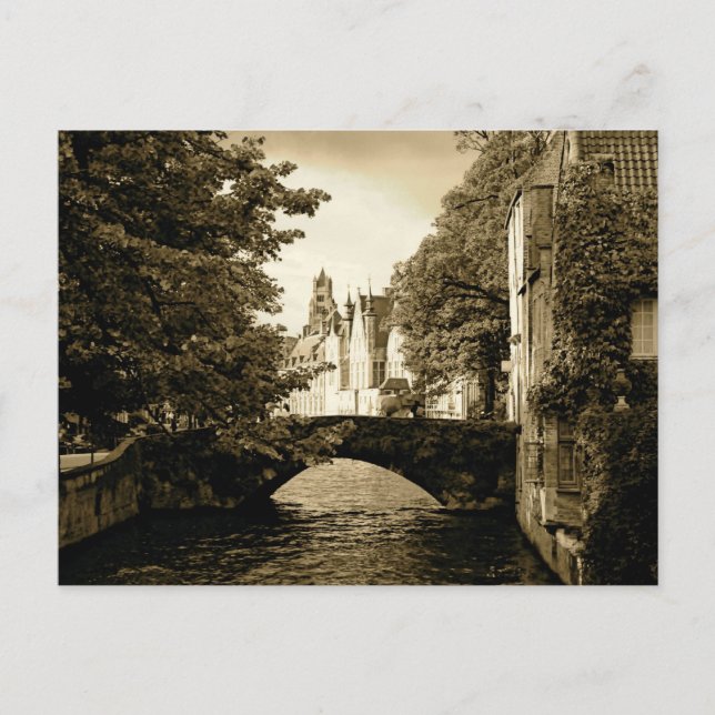 Bridge in Bruges Postcard (Front)