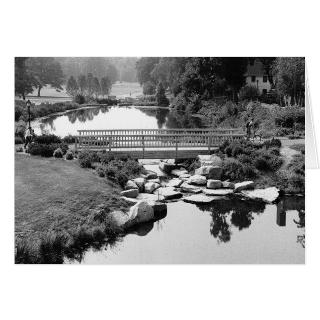 Bridge in CT Card (Front Horizontal)