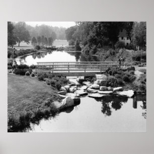 Bridge in CT Print
