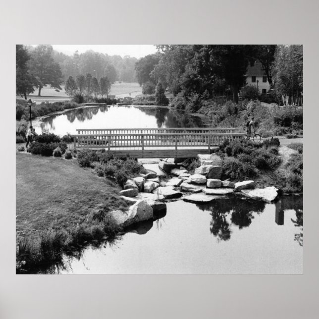 Bridge in CT Print (Front)