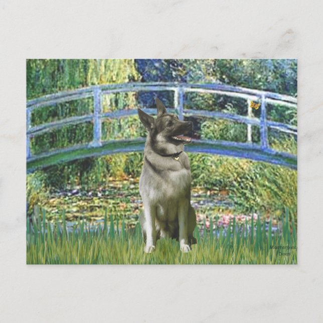 Bridge - Norwegian Elkhound Postcard (Front)