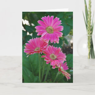 Bridge of Flowers - Daisies notecard