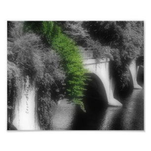 Bridge Of Flowers Partial Colour 8x10 Photo Print