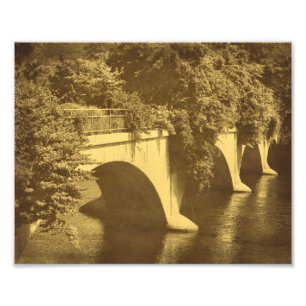 Bridge Of Flowers Vintage Look 8x10 Photo Print