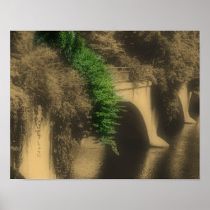 Bridge Of Flowers Vintage Partial Colour Poster