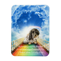 Bridge of Many Colours Magnet