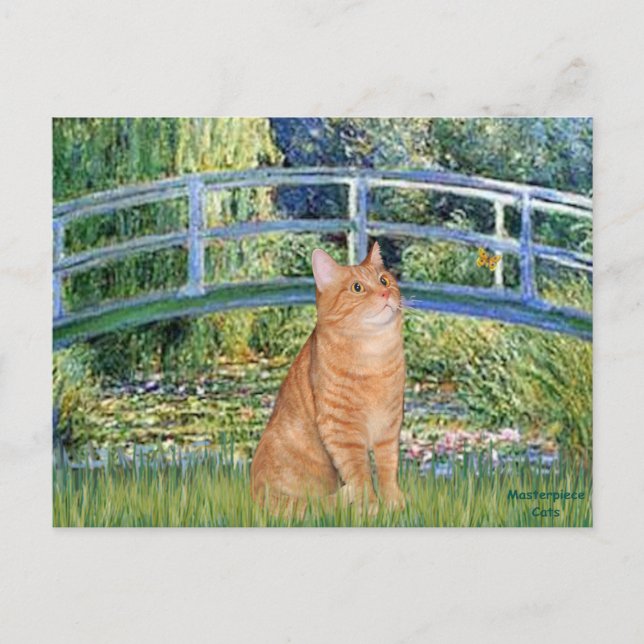 Bridge - Orange Tabby SH cat 46 Postcard (Front)