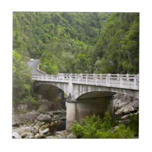 Bridge Over Stream, Tsitsikamma National Park Tile