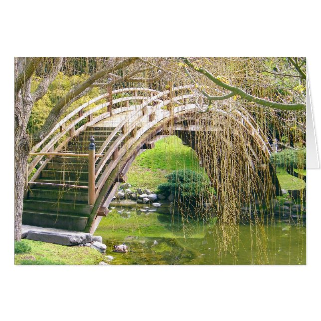 Bridge over water_ (Front Horizontal)