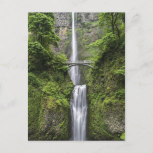Bridge over Waterfall Landscape Postcard