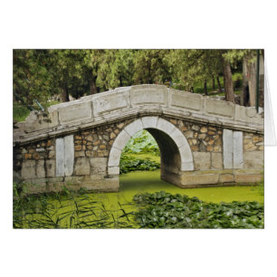 Bridge, Summer Palace, Beijing, China