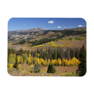 Bridger-Teton National Forest Magnet