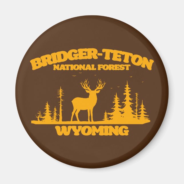 Bridger-Teton National Forest Magnet (Front)