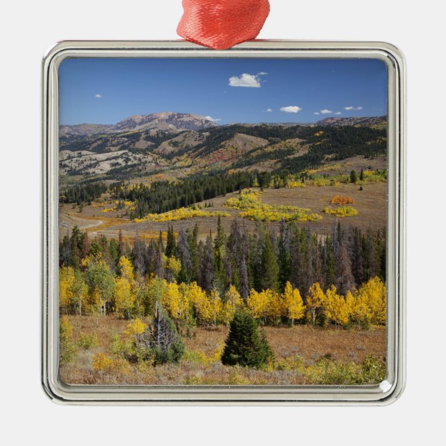 Bridger-Teton National Forest Metal Tree Decoration (Front)