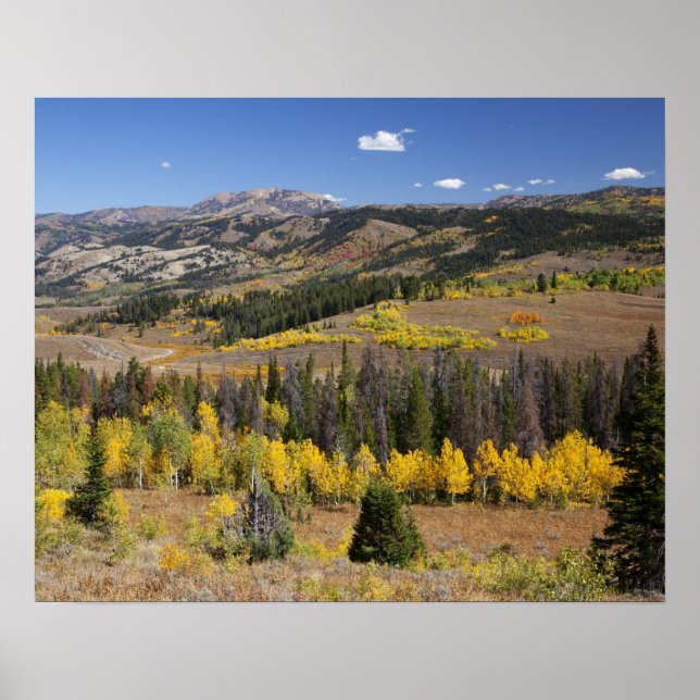 Bridger-Teton National Forest Poster (Front)