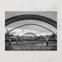 Bridges over The River Tyne, Newcastle Postcard