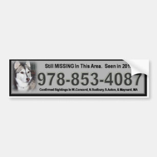 Bridgett Bumper Sticker Industrial Grey