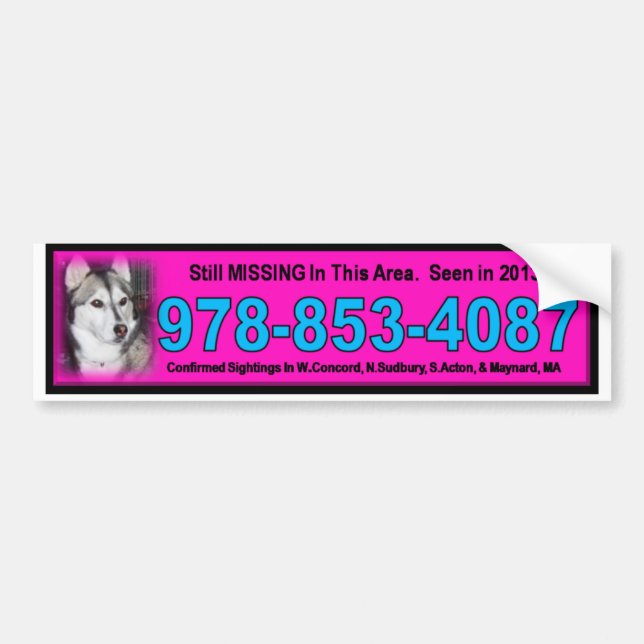 bridgett bumper sticker pink (Front)