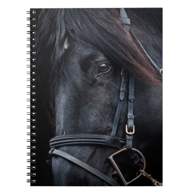 Bridled Black Stallion Face Spiral Notebook (Front)