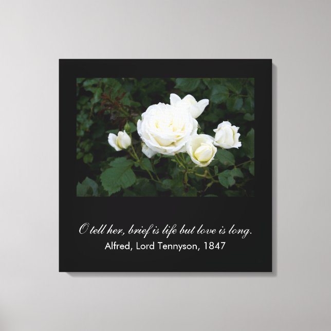Brief is life but love is long (Tennyson quote) Canvas Print (Front)