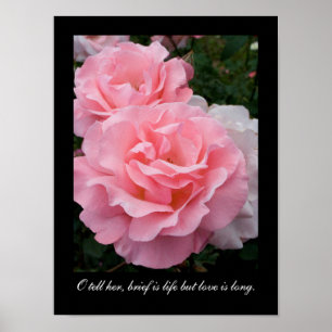 Brief is life but love is long (Tennyson quote) Poster