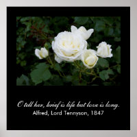 Brief is life but love is long (Tennyson quote)