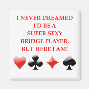 BRIFGE MAGNET