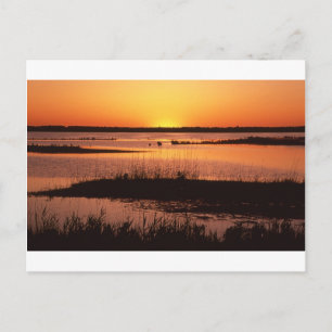Brigantine NWR at Sunset.jpg Postcard