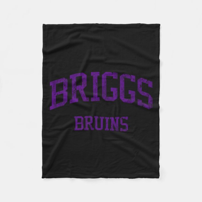 Briggs High School Hs Columbus Graphic Art Fleece Blanket (Front)