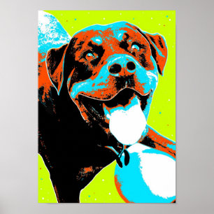 Bright and Fun Rottweiler Portrait Poster