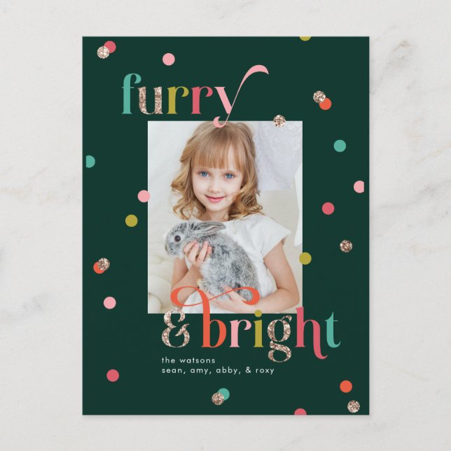 Bright and Furry Holiday Photo Card Postcard (Front)