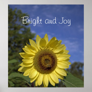 Bright and joy perfect sunflower in blue sky. poster