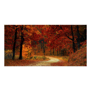 Bright Autumnal Forest Poster