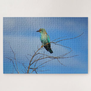 bright bird jigsaw puzzle