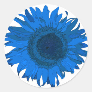 Bright Blue and White Pop Art Sunflower Classic Round Sticker