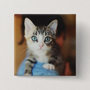 Bright Blue Eyed Kitten 15 Cm Square Badge