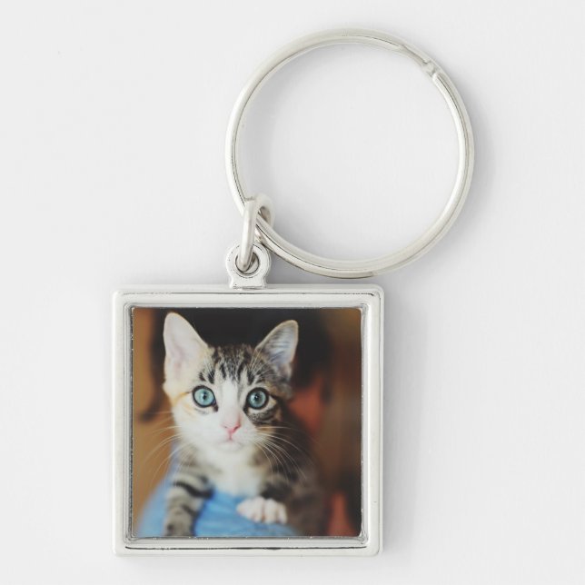 Bright Blue Eyed Kitten Key Ring (Front)