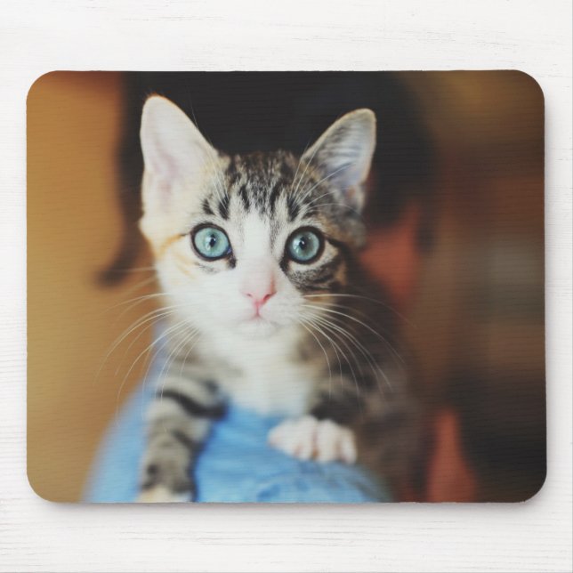 Bright Blue Eyed Kitten Mouse Pad (Front)