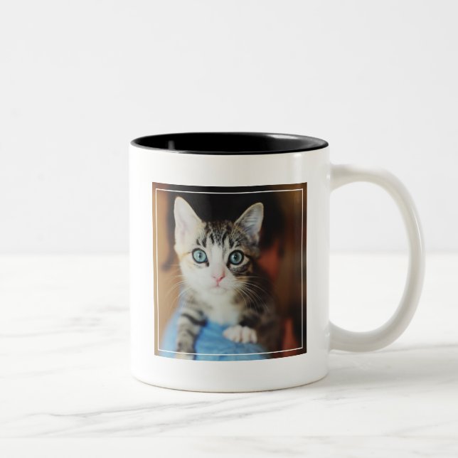 Bright Blue Eyed Kitten Two-Tone Coffee Mug (Right)