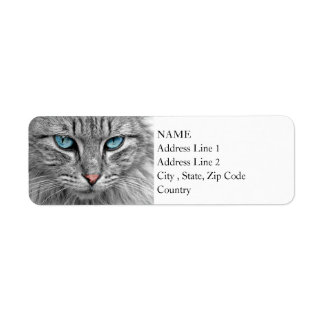 Bright Blue Eyes | Monochrome | Cat Portrait