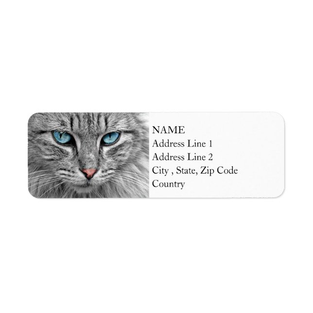 Bright Blue Eyes | Monochrome | Cat Portrait (Front)