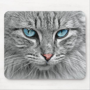 Bright Blue Eyes   Monochrome   Cat Portrait Mouse Pad