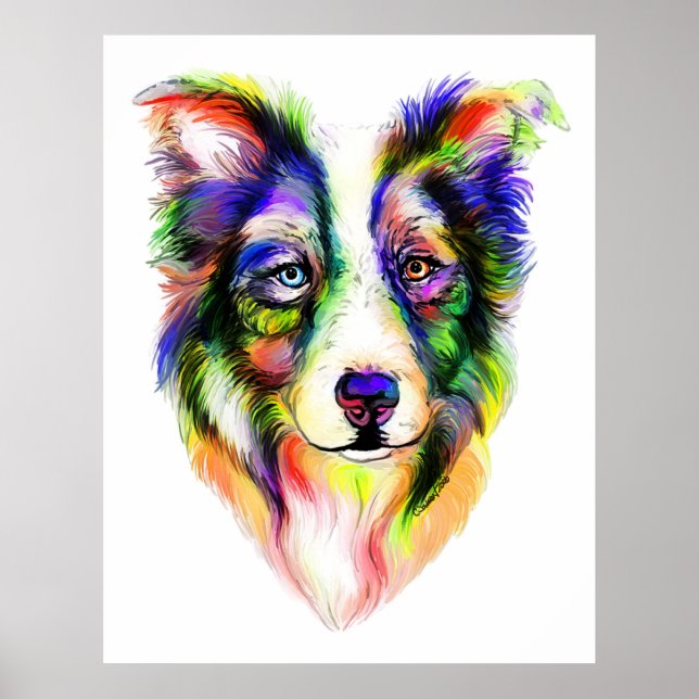 Bright Border Collie Poster (Front)