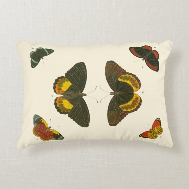 Bright Butterflies by Pieter Cramer Decorative Cushion (Front)