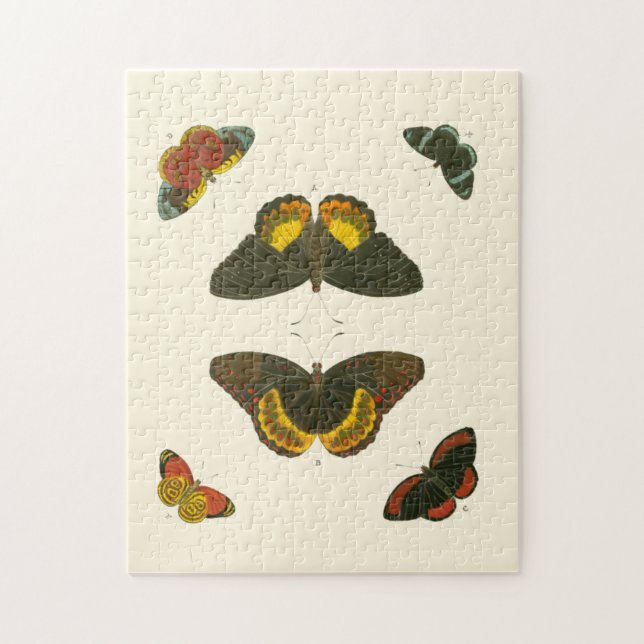 Bright Butterflies by Pieter Cramer Jigsaw Puzzle (Vertical)