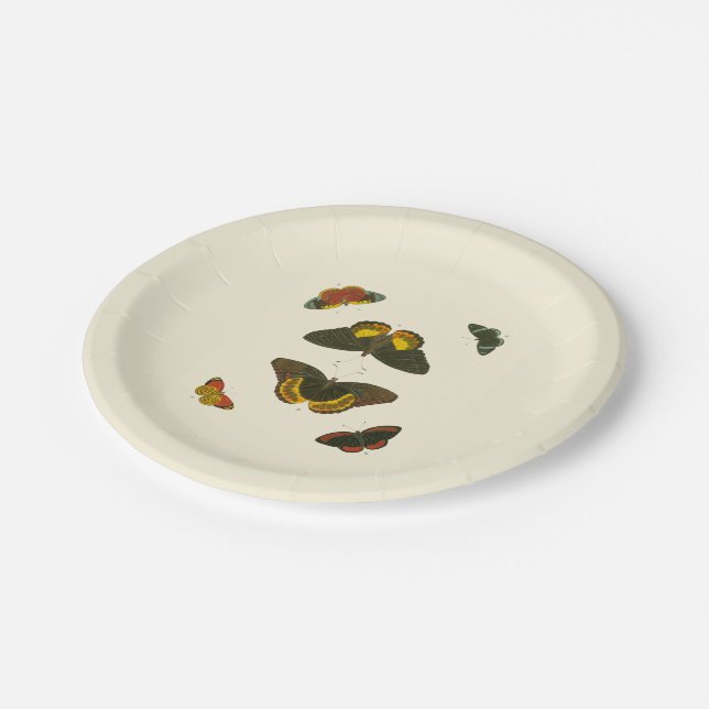 Bright Butterflies by Pieter Cramer Paper Plate (Angled)