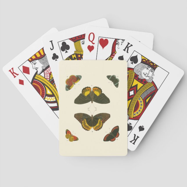 Bright Butterflies by Pieter Cramer Playing Cards (Back)