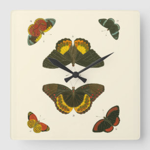Bright Butterflies by Pieter Cramer Square Wall Clock