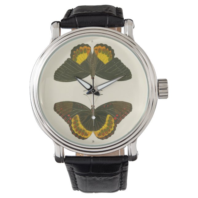Bright Butterflies by Pieter Cramer Watch (Front)